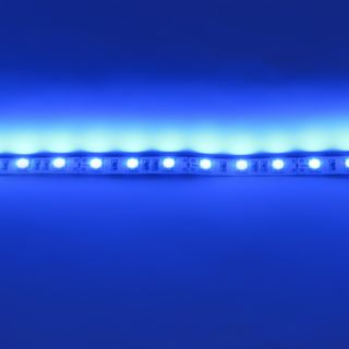 Светодиодная лента PRO-C 5050 60Led 12V 14.4W IP20 Blue
