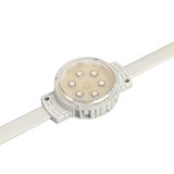 d_DL-10300-0045.jpg
