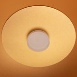 b_DL-12400-0497.jpg