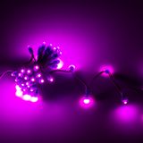 a_78845.jpg