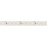 f_DL-06700-0026.jpg