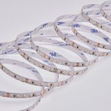 b_DL-06-1307.JPG