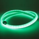 d_78989.jpg