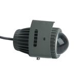 f_48497.jpg