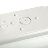 e_51225.jpg