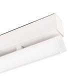 a_DL-12600-0340.jpg