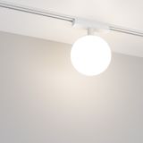 a_DL-12600-0816.jpg