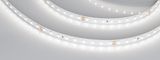e_DL-06300-0061.jpg