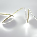 b_53323.jpg
