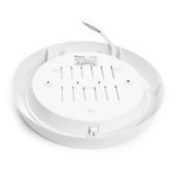 d_41797.jpg