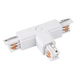 d_DL-12113-0053.jpg