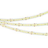 e_DL-06300-0099.jpg