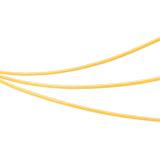 a_042031.jpg