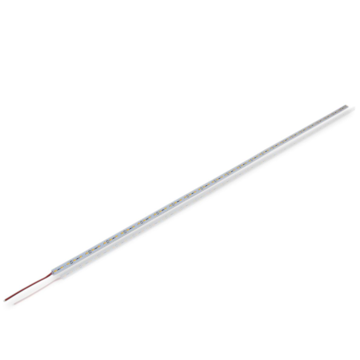 b_31650.jpg
