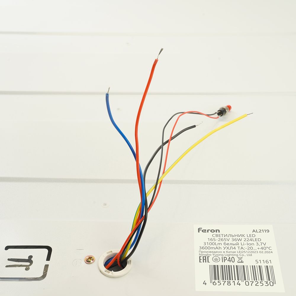 f_51161.jpg