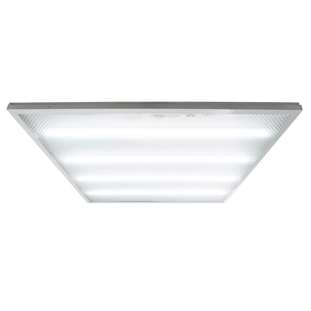 e_51161.jpg