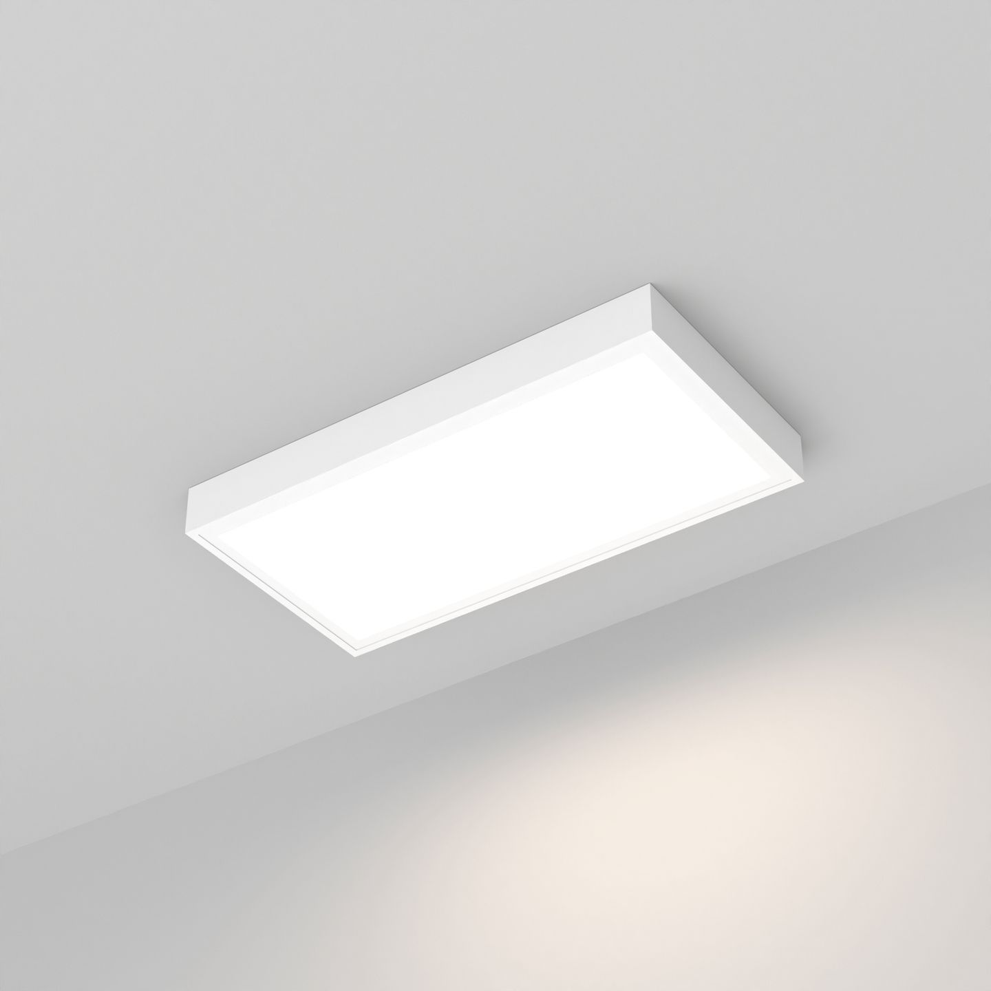 e_DL-04900-0015.jpg