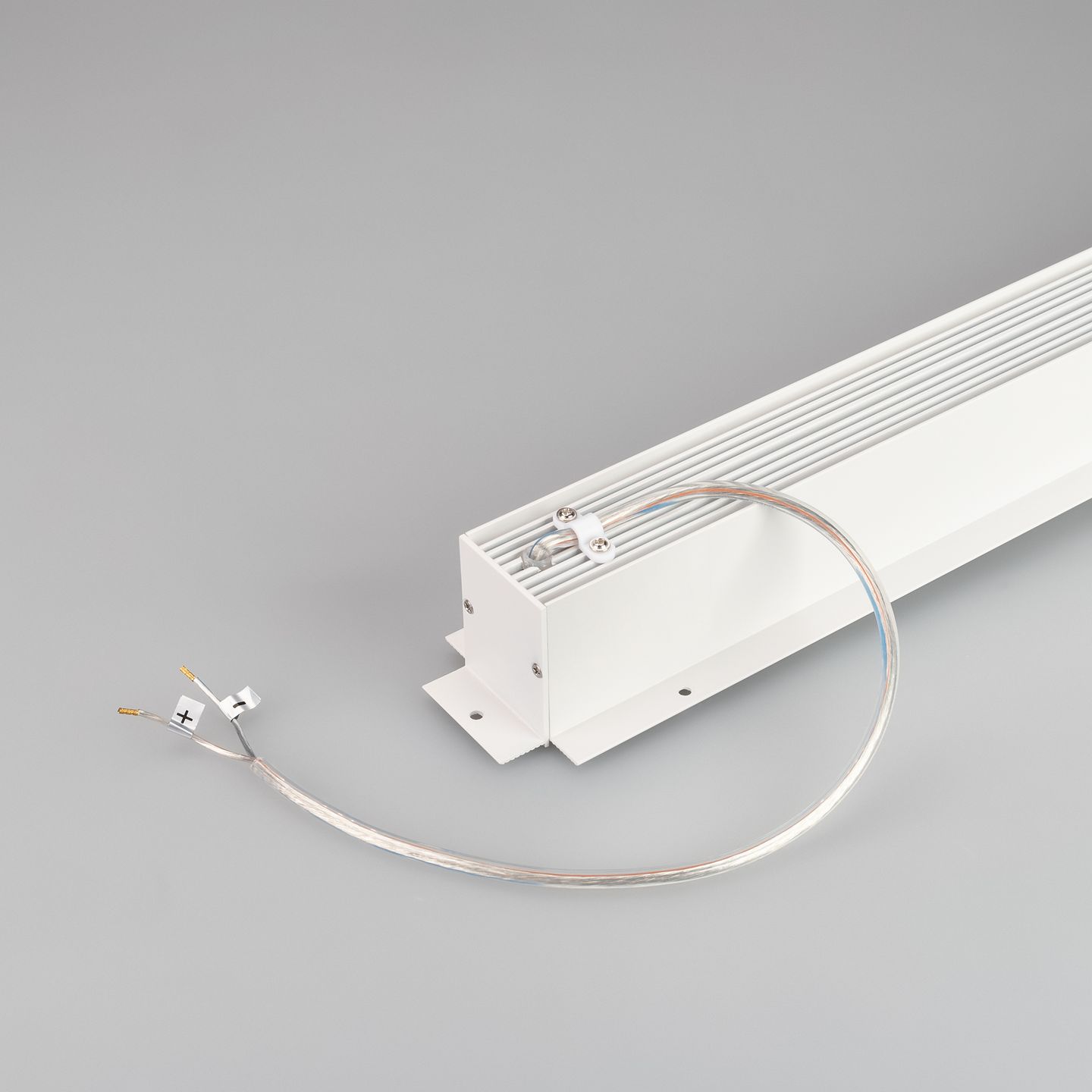 b_DL-12600-0981.jpg