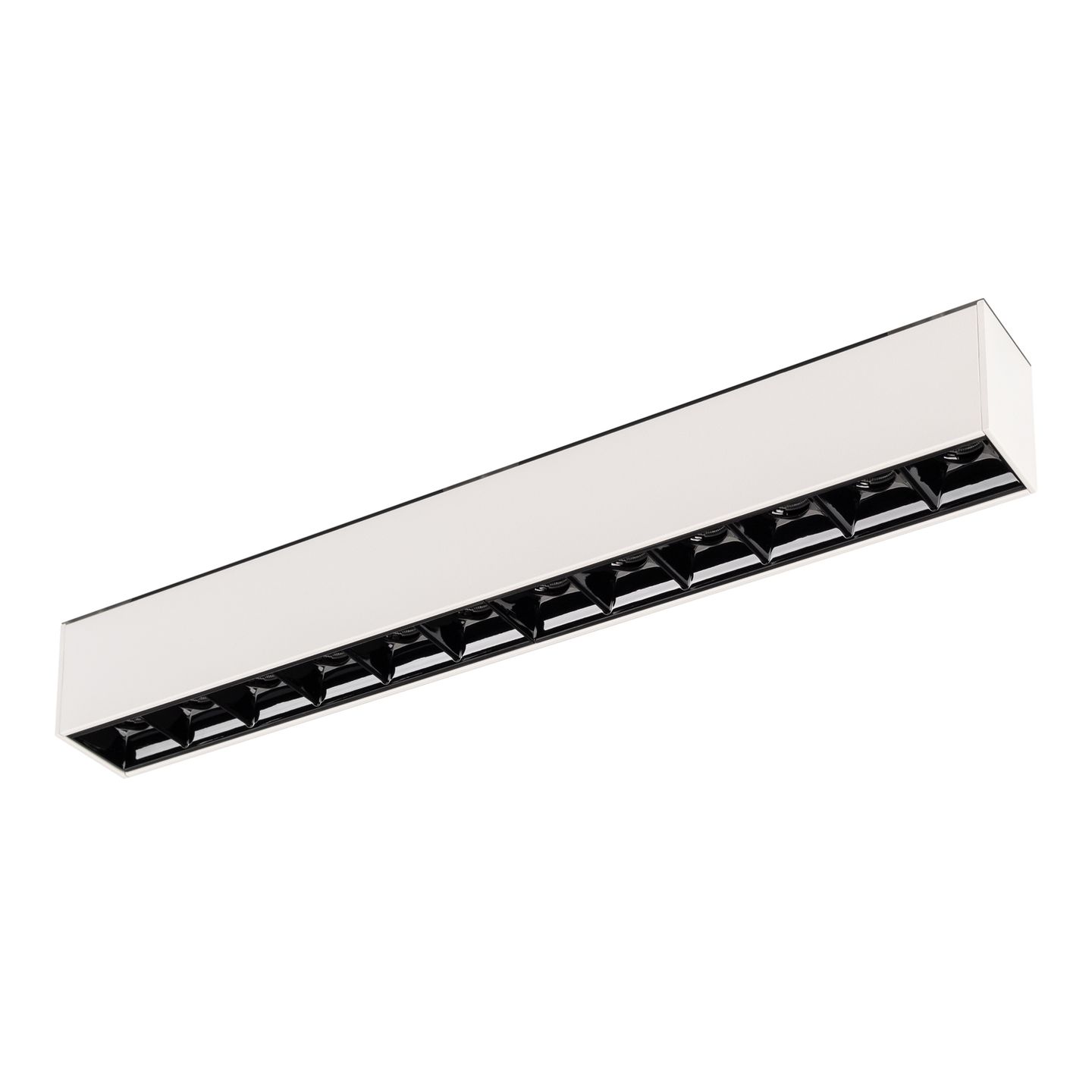 a_DL-12600-0376.jpg