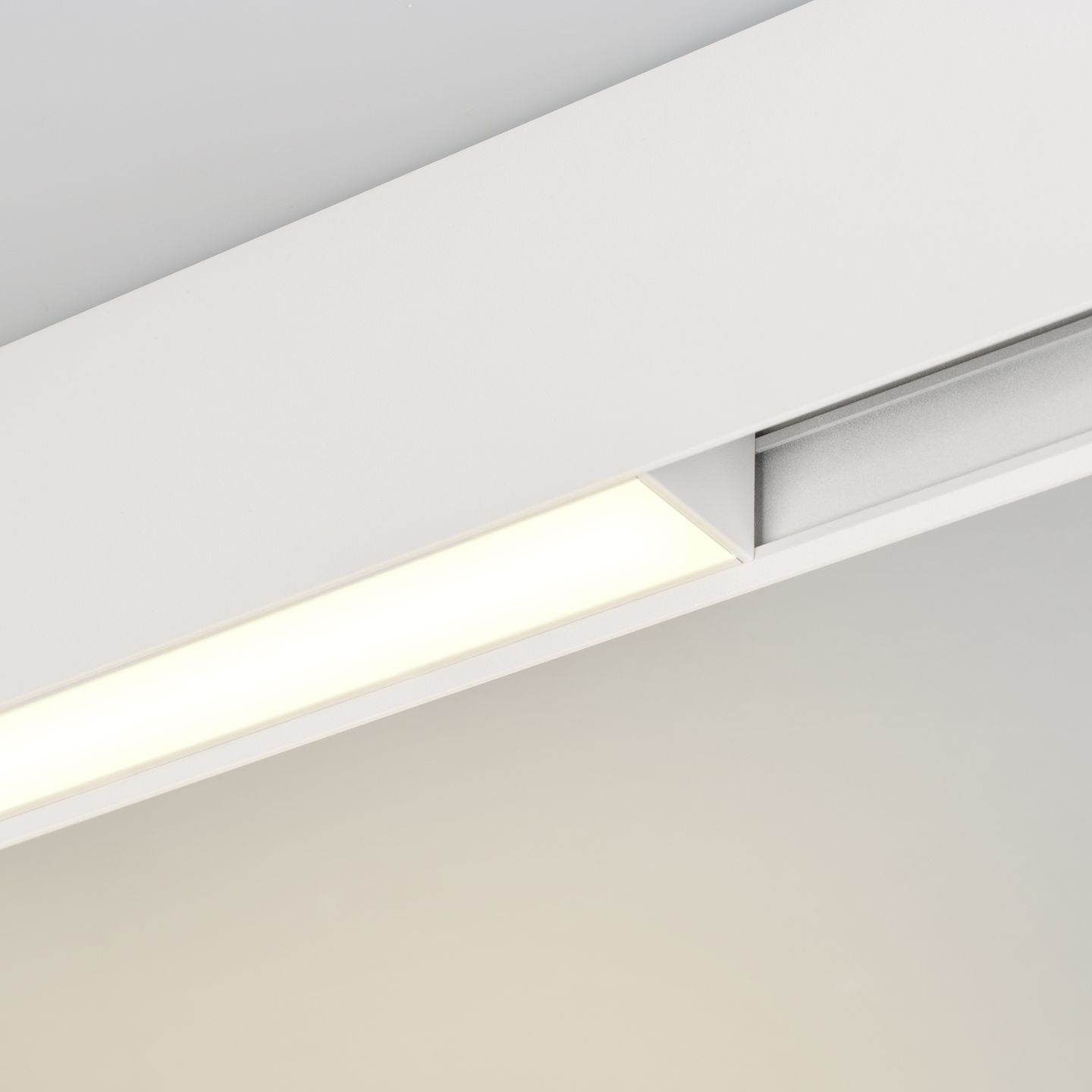 d_DL-12600-0311.jpg