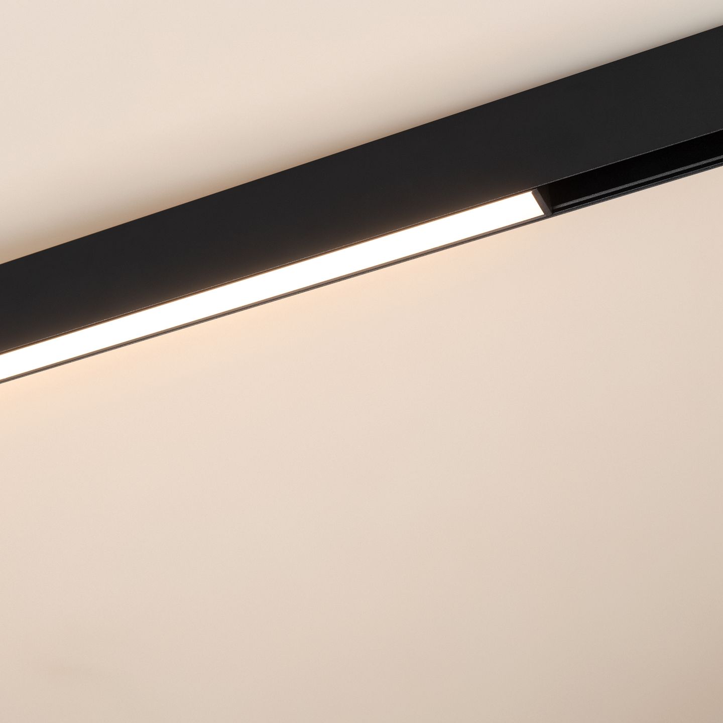a_DL-12600-0485.jpg