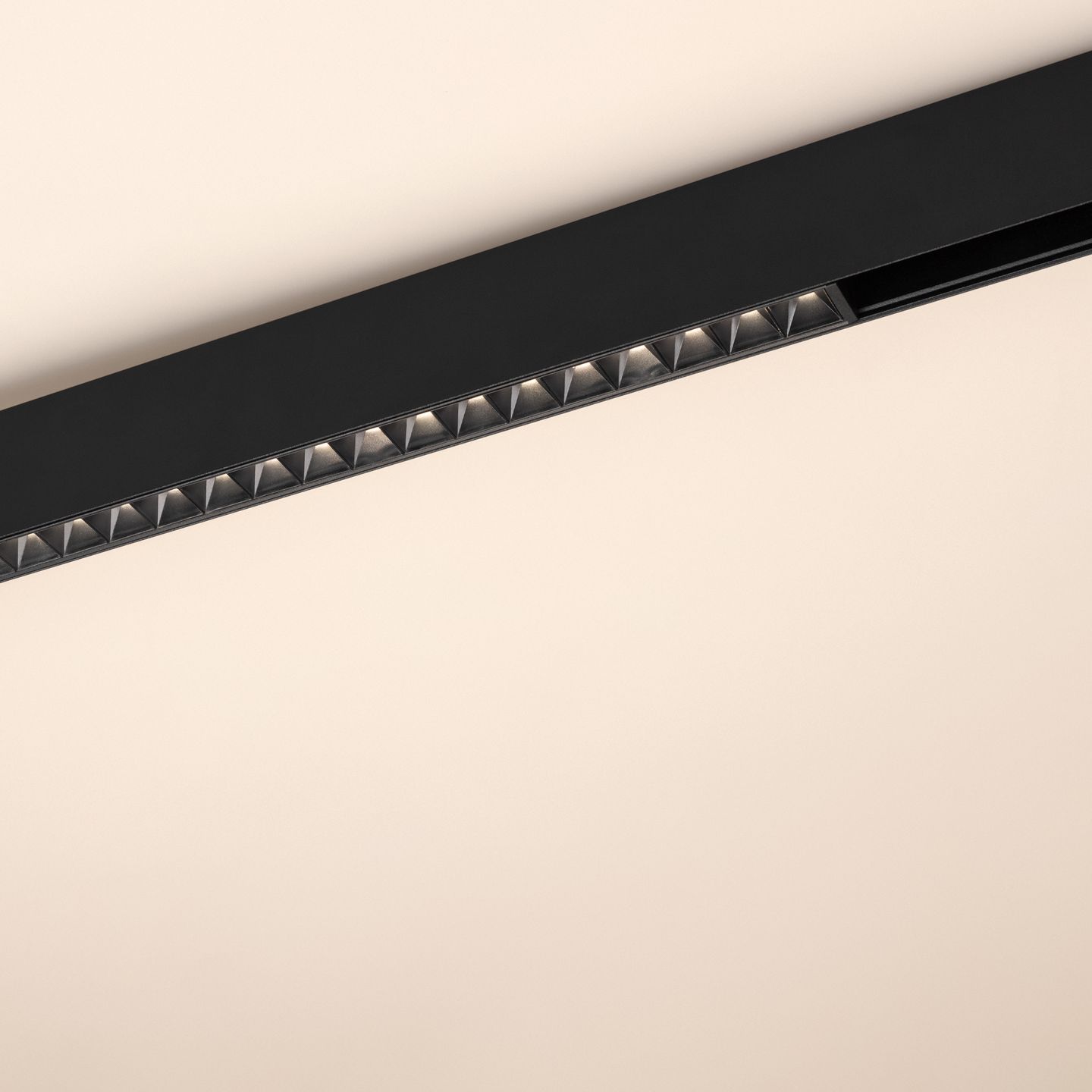 a_DL-12600-0553.jpg