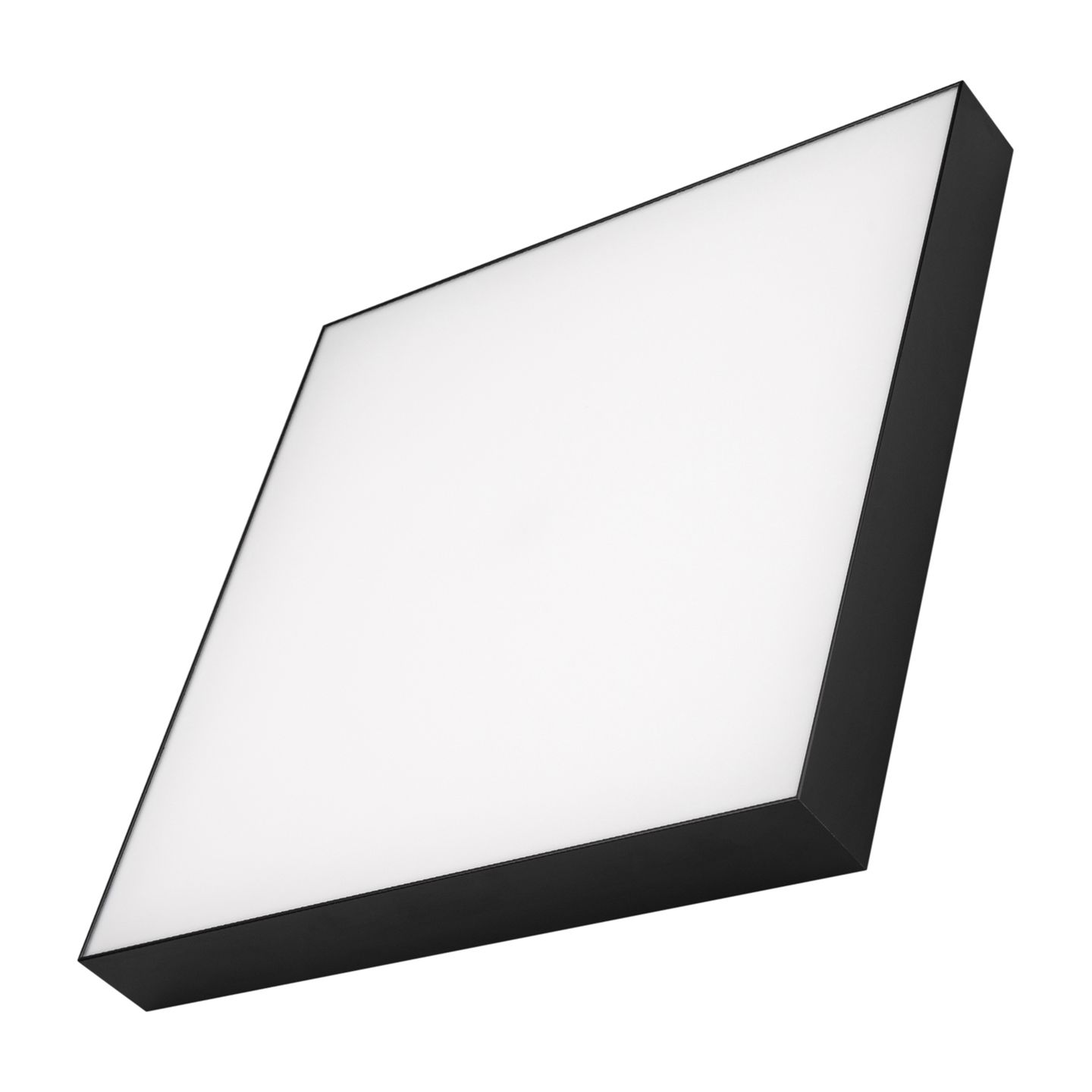 a_DL-12400-0488.jpg