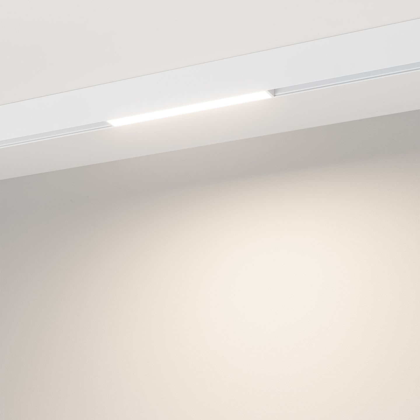 d_DL-12600-0483.jpg