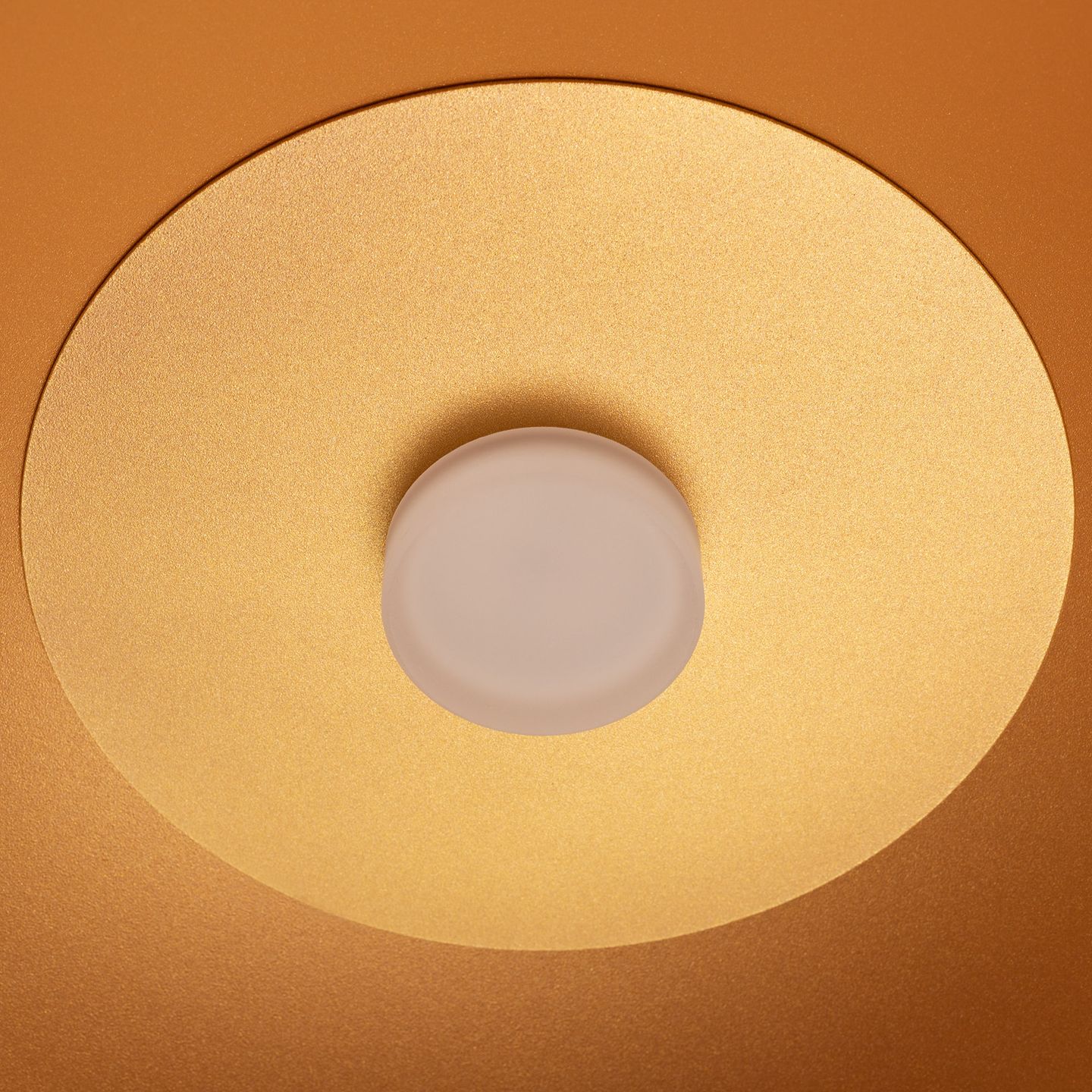 d_DL-12400-0499.jpg