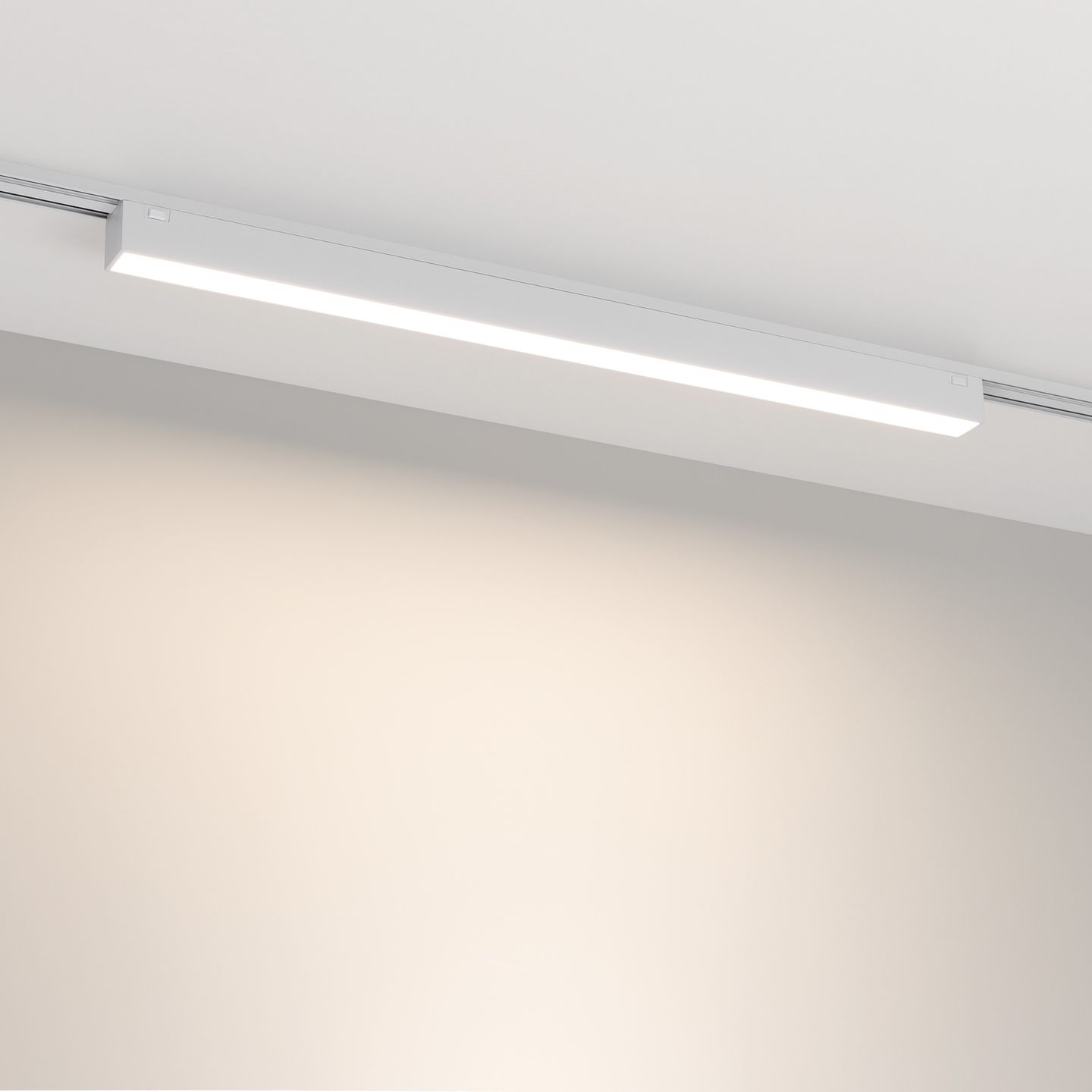 b_DL-12600-0780.jpg