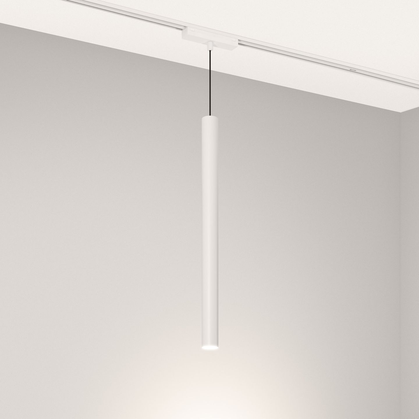 a_DL-12600-0820.jpg