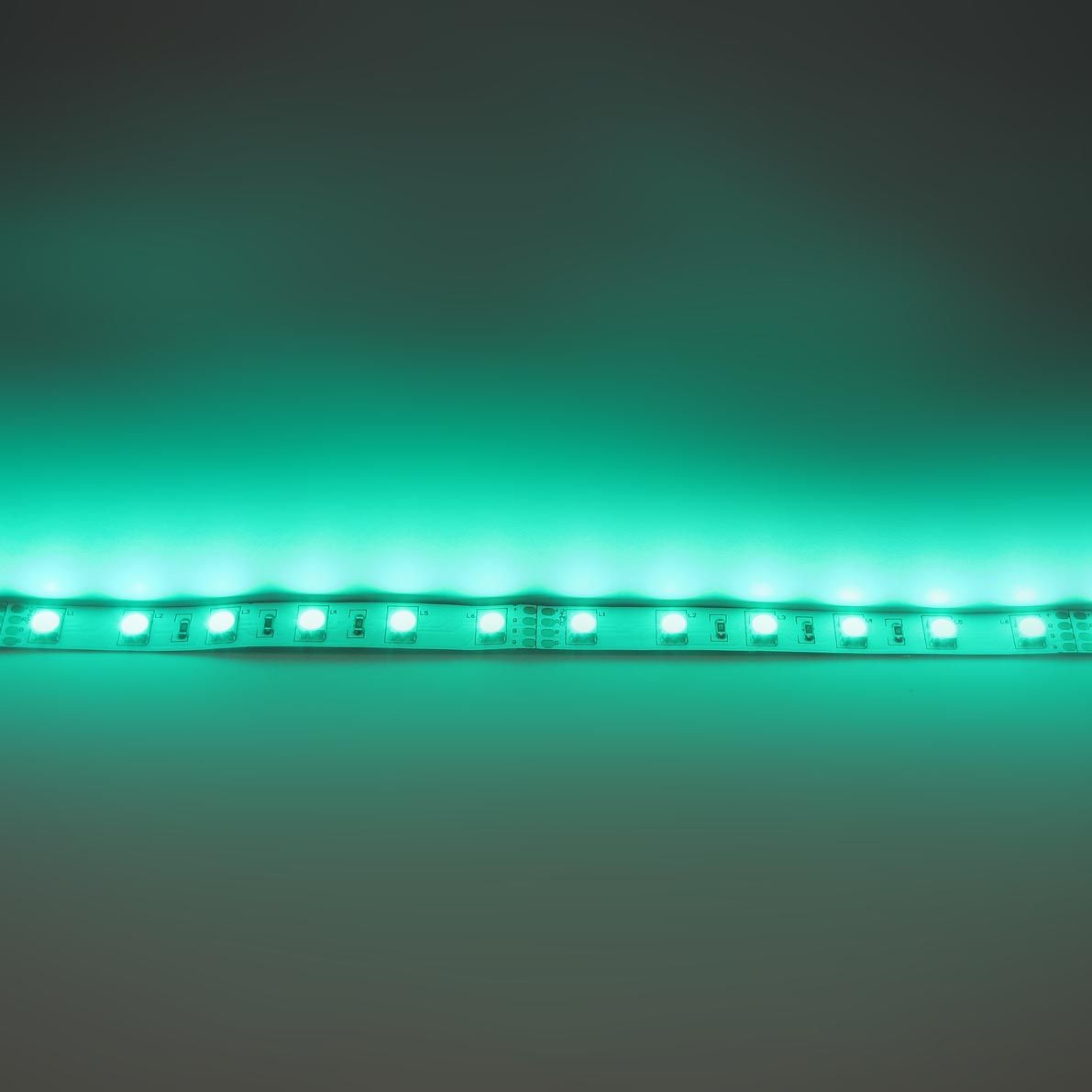 c_30080.jpg