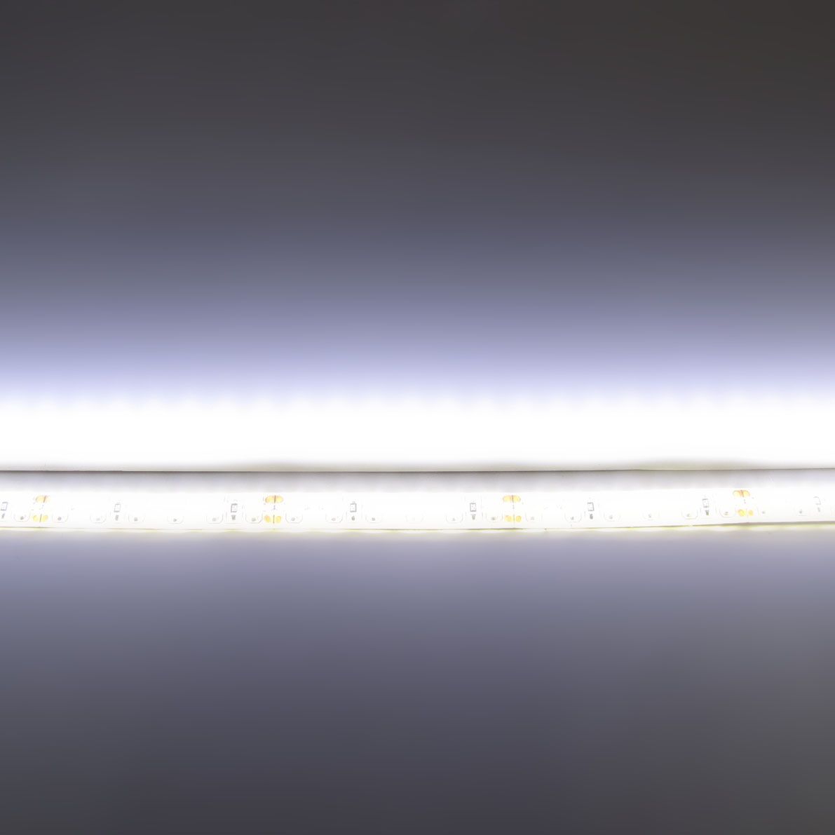d_54282.jpg