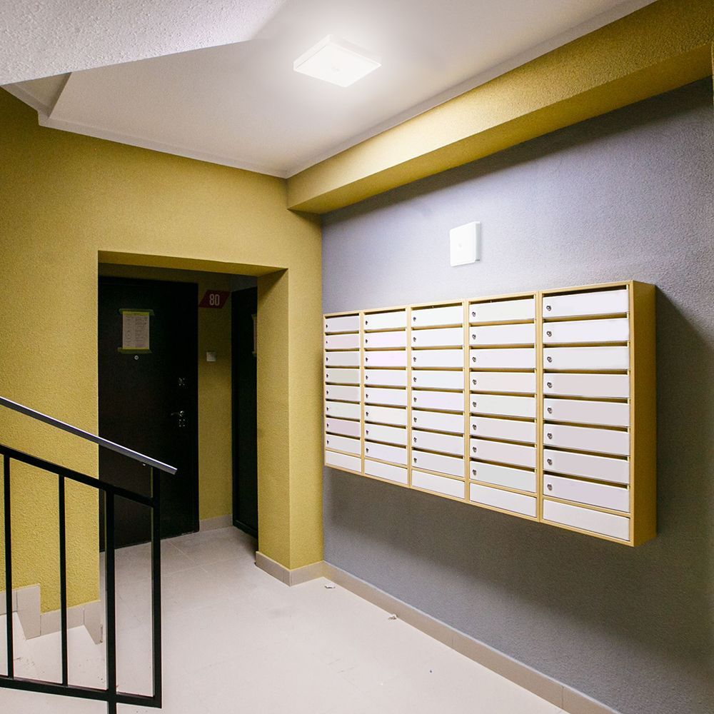 e_41799.jpg
