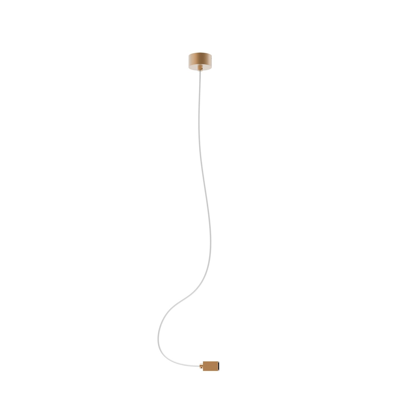 c_DL-04800-0113.jpg